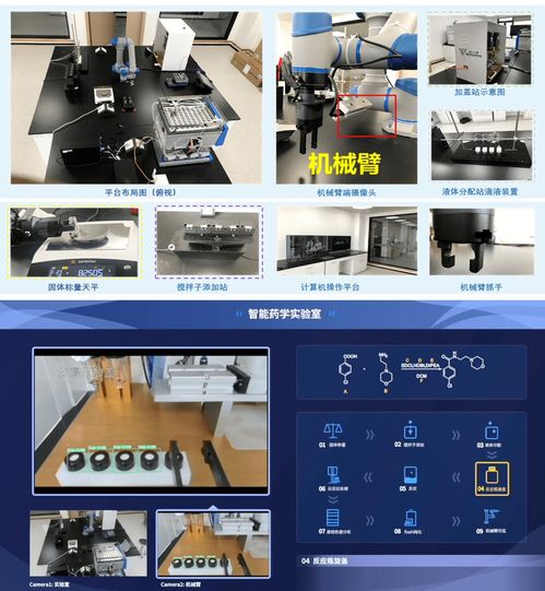 钱塘区入选人工智能创新发展区，聚焦应用软件开发